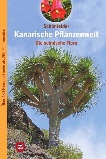 Kanarische Pflanzenwelt - Peter Schonfelder - Ingrid Schonfelder