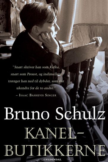 Kanelbutikkerne - Bruno Schulz