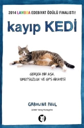 Kayp Kedi