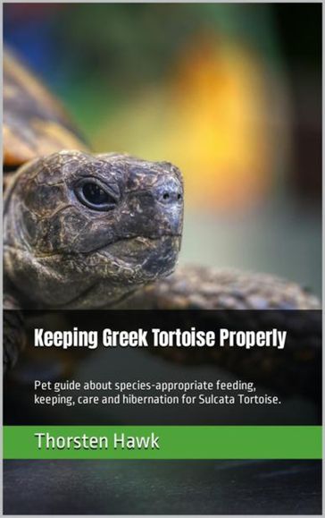 Keeping Greek Tortoise Properly - Thorsten Hawk