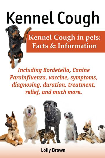 Kennel Cough - Lolly Brown