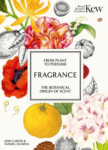 Kew - Fragrance - Josh Carter - Kew Royal Botanic Gardens - Samuel Gearing