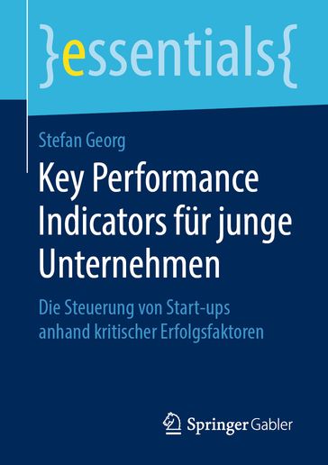 Key Performance Indicators für junge Unternehmen - Stefan Georg