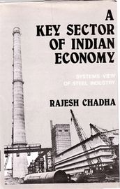 A Key Sector of Indian Economy: Systems View of Steel Industry