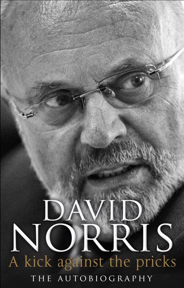 A Kick Against The Pricks - David Norris