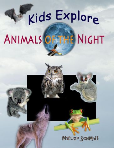 Kids Explore: Animals of the Night - Marlize Schmidt