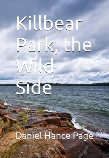 Killbear Park; The Wild Side - DANIEL HANCE PAGE