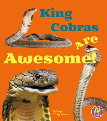 King Cobras Are Awesome! - Megan C Peterson