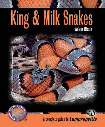 King & Milk Snakes (Complete Herp Care) - Adam Black