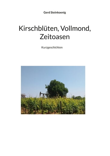 Kirschblüten, Vollmond, Zeitoasen - Gerd Steinkoenig