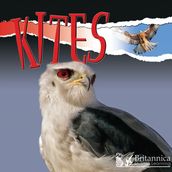 Kites