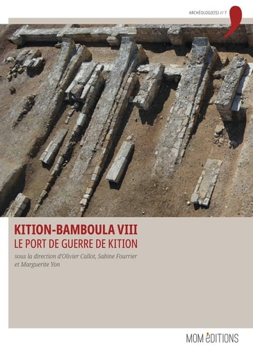 Kition-Bamboula VIII - Collectif