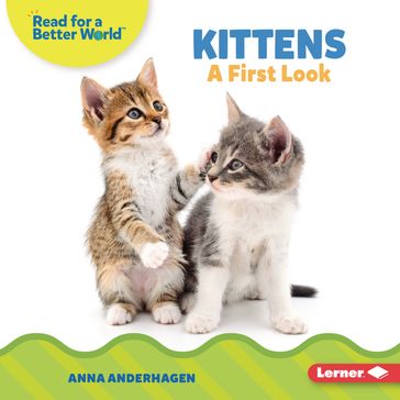 Kittens - Anna Anderhagen