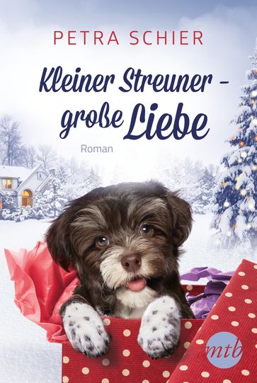 Kleiner Streuner - große Liebe - Petra Schier