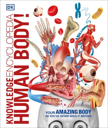 Knowledge Encyclopedia Human Body! - Dk