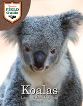 Koalas