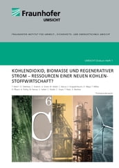 Kohlendioxid, Biomasse und regenerativer Strom - Ressourcen einer neuen Kohlenstoffwirtschaft