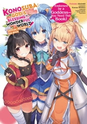 Konosuba: God s Blessing on This Wonderful World! Memorial Fan Book