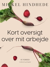 Kort oversigt over mit arbejde