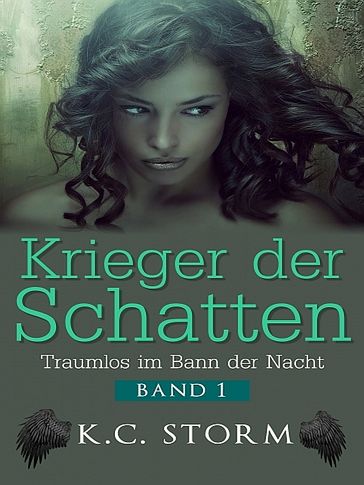 Krieger der Schatten - K. C. Storm