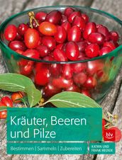 Kräuter, Beeren und Pilze