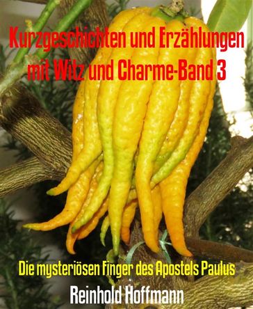 Kurzgeschichten und Erzählungen mit Witz und Charme-Band 3 - Reinhold Hoffmann