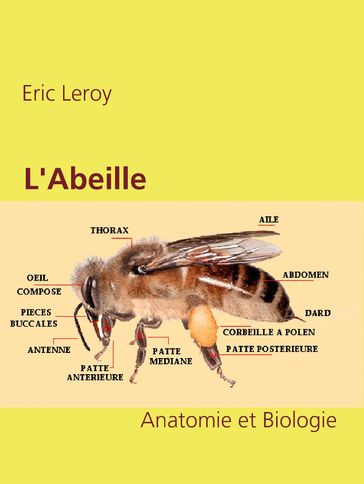 L'Abeille - Eric Leroy