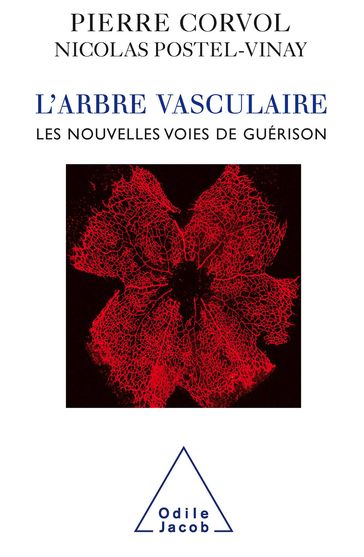L' Arbre vasculaire - Nicolas Postel-Vinay - Pierre Corvol