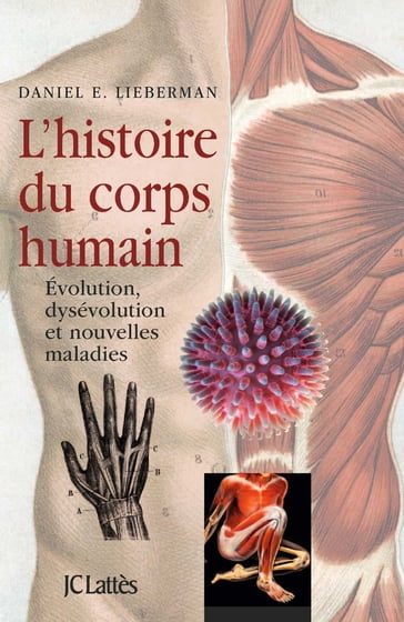 L'Histoire du corps humain - Daniel Lieberman