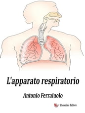 L apparato respiratorio