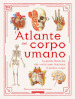 L atlante del corpo umano