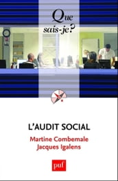 L audit social