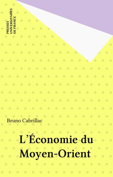 L'Économie du Moyen-Orient - Bruno Cabrillac