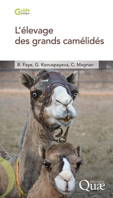 L'élevage des grands camélidés - Bernard Faye - Gaukhar Konuspayeva - Cécile Magnan