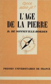 L Âge de la pierre