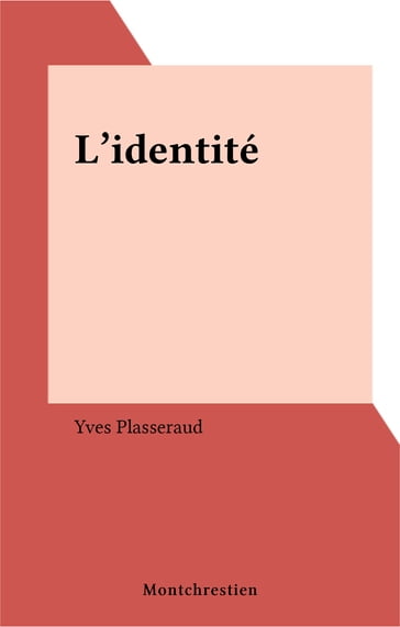 L'identité - Yves PLASSERAUD
