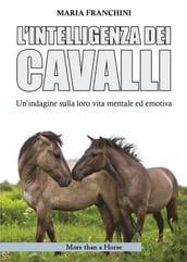 L intelligenza dei cavalli