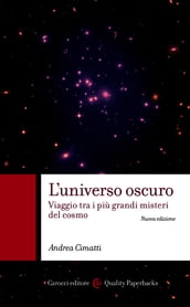 L universo oscuro