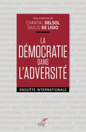 LA DEMOCRATIE DANS L ADVERSITE