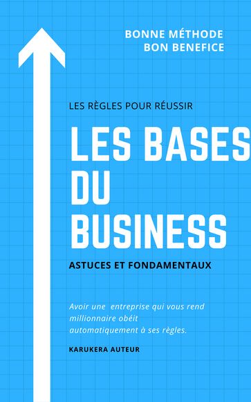 LES BASES DU BUSINESS - Stéphane SEFETIUS