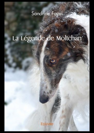 La Légende de Moltchan - Sandrine Fayel