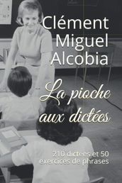 La Pioche aux Dictées