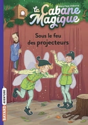 La cabane magique, Tome 20