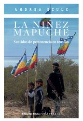 La niñez mapuche