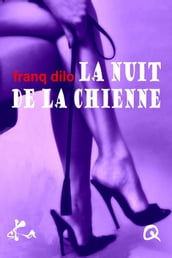 La nuit de la Chienne