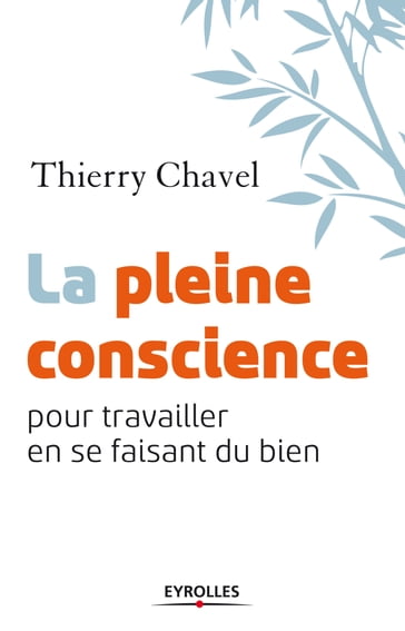 La pleine conscience - Thierry Chavel