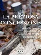 La preziosa concessione