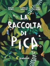 La raccolta di Pica