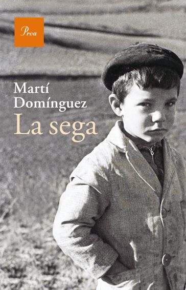 La sega - Martí Domínguez