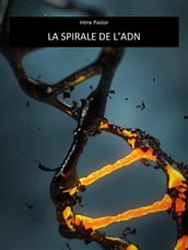 La spirale de l ADN